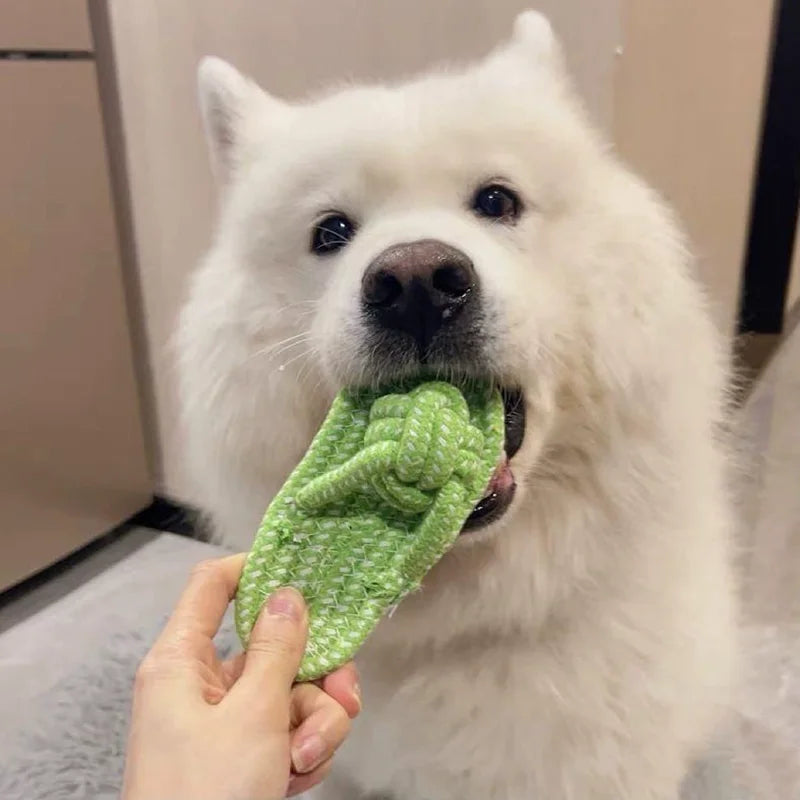 Brinquedo interativo de corda de algodão para cães pequenos
