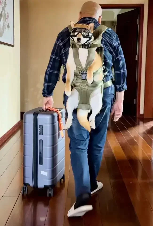 Mochila peitoral para animais de estimação