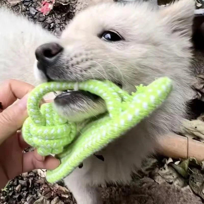 Brinquedo interativo de corda de algodão para cães pequenos