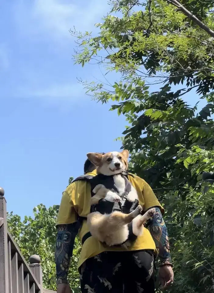 Mochila peitoral para animais de estimação