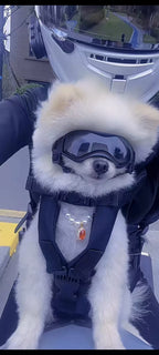 Mochila peitoral para animais de estimação