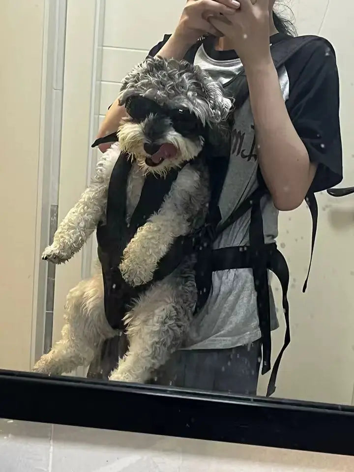 Mochila peitoral para animais de estimação