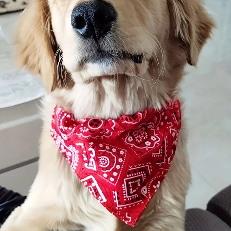 Lenço/bandana ajustável para cães e gatos de pequeno porte, ideal para coletar saliva, com bandagem triangular.
