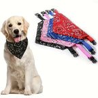 Lenço/bandana ajustável para cães e gatos de pequeno porte, ideal para coletar saliva, com bandagem triangular.