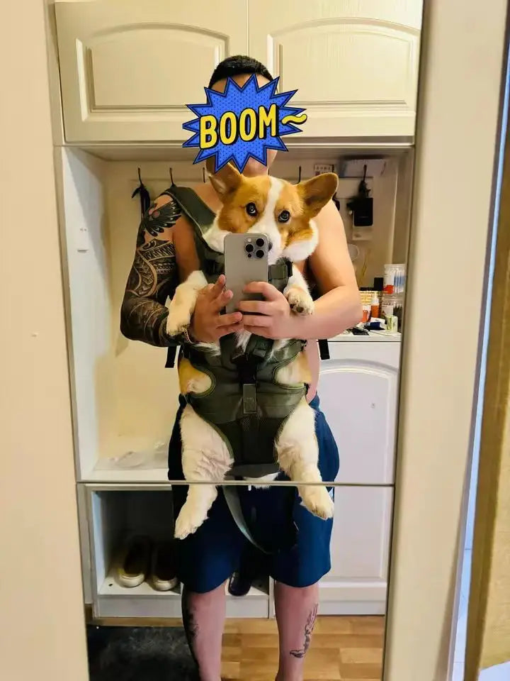 Mochila peitoral para animais de estimação