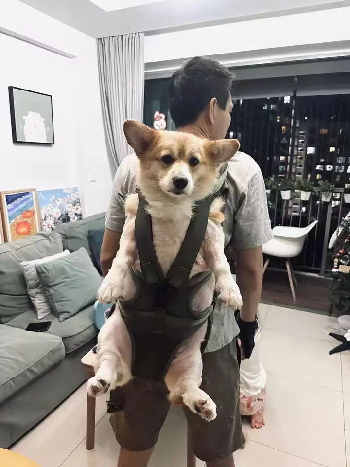 Mochila peitoral para animais de estimação