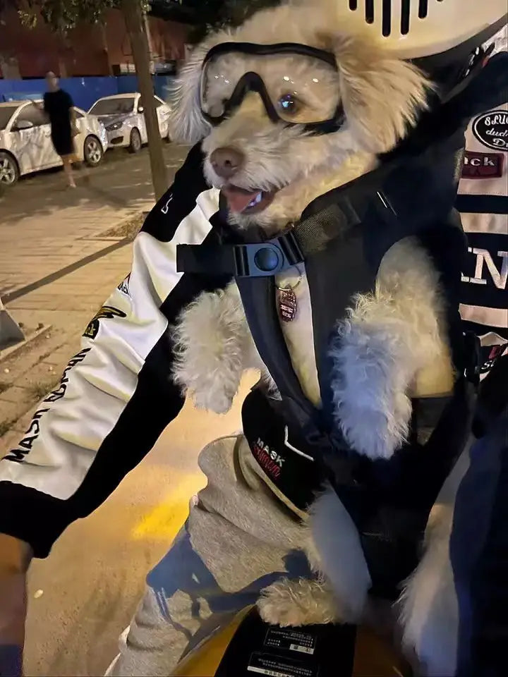 Mochila peitoral para animais de estimação