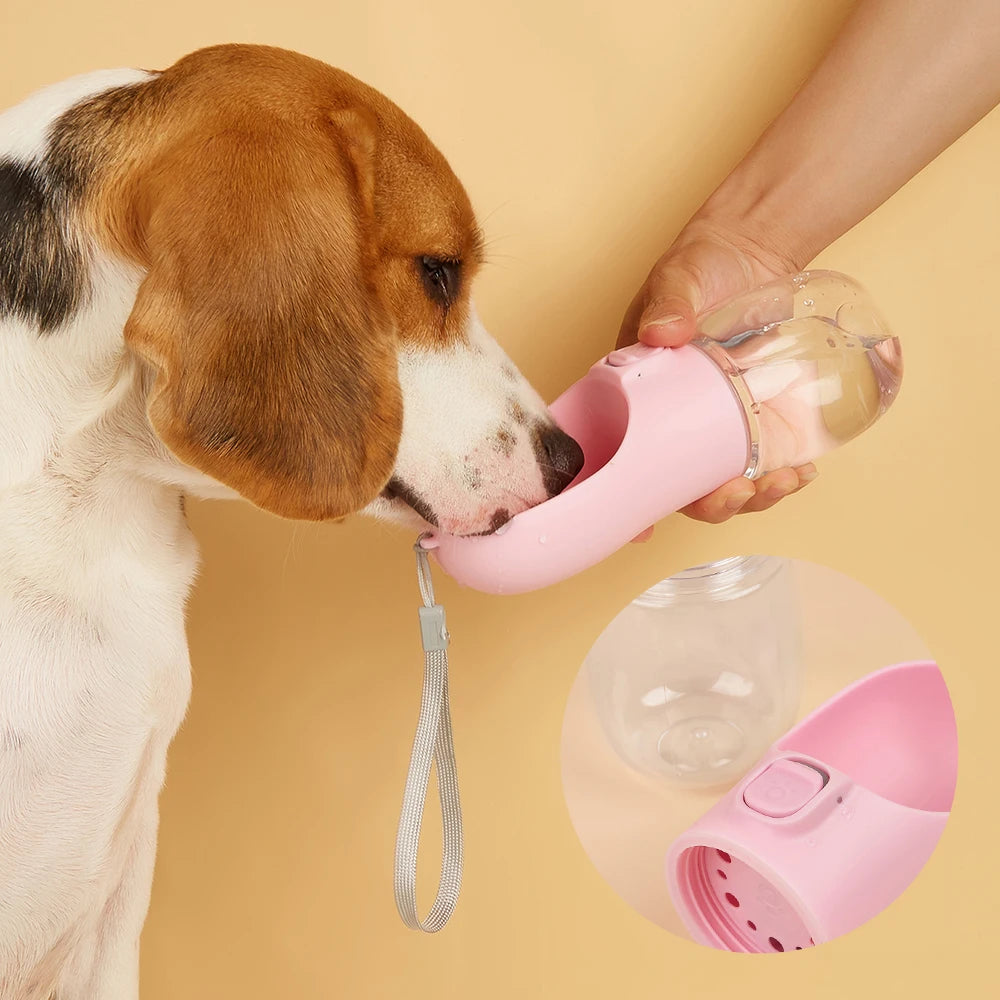 Garrafa de água para cães e gatos