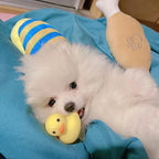 Brinquedo fofo para cachorro e gato que faz barulho ao ser mastigado