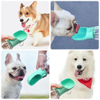 Garrafa de água para cães e gatos