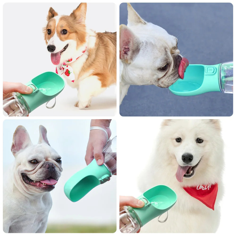 Garrafa de água para cães e gatos