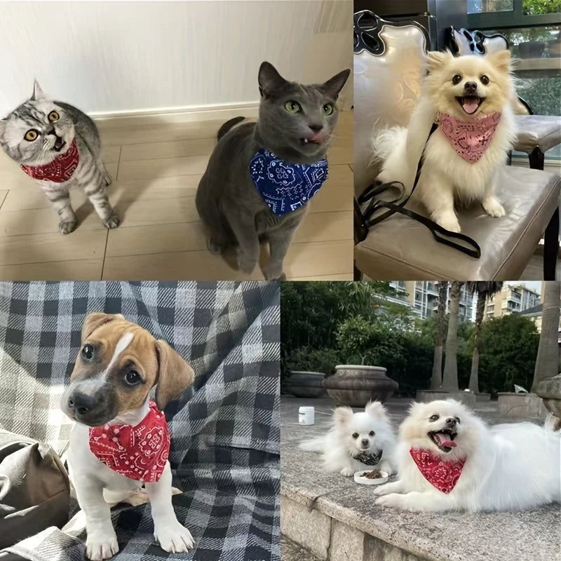 Lenço/bandana ajustável para cães e gatos de pequeno porte, ideal para coletar saliva, com bandagem triangular.