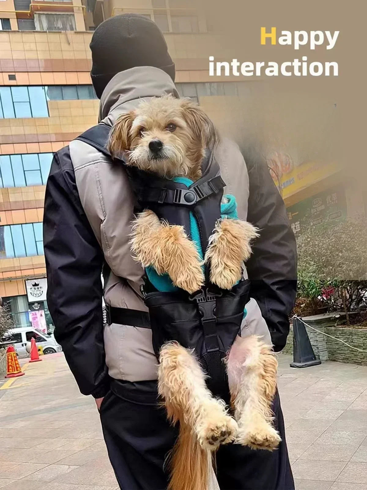 Mochila peitoral para animais de estimação
