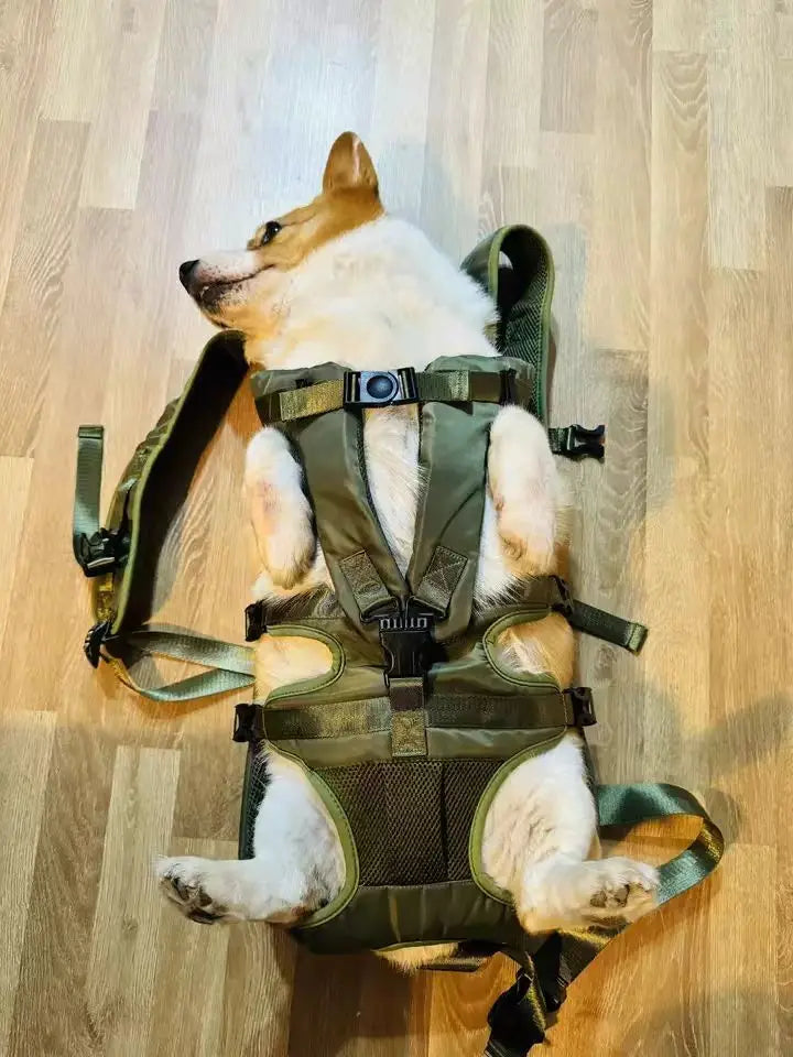 Mochila peitoral para animais de estimação