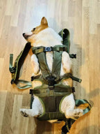 Mochila peitoral para animais de estimação